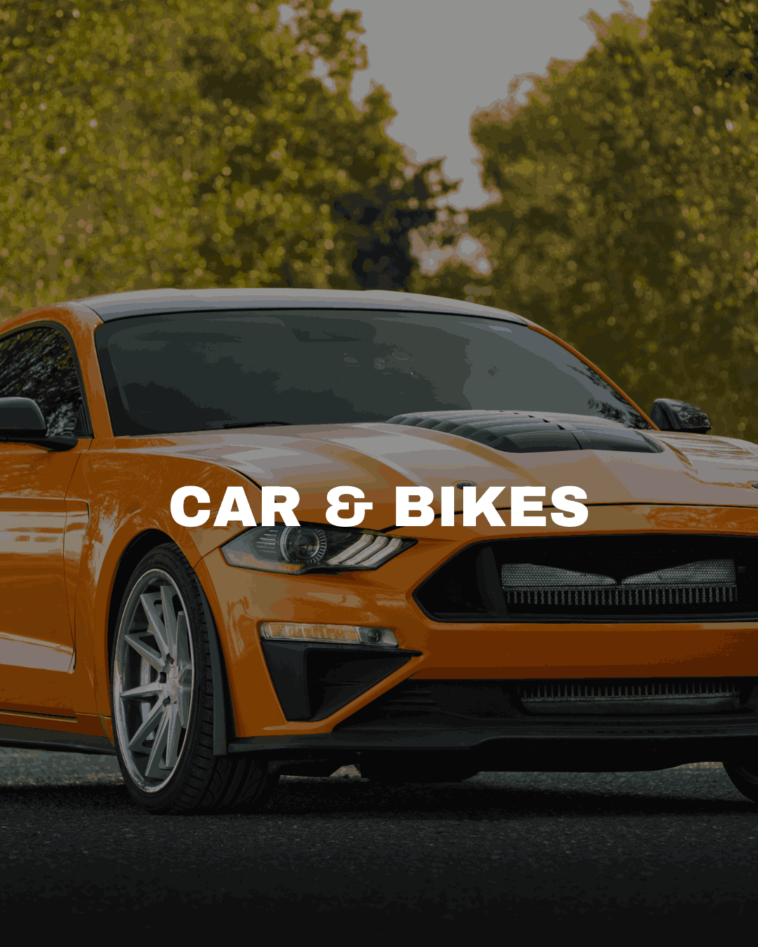 Car & Bikes
